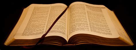 If you have any pets, especially ones with long lifespans (a horse, for example), you might consider including instructions. Ethics and Religion Talk: Does the Old Testament speak ...