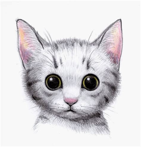 6⃣ ensuite tracer la bouche. 14+ Dessin Chat Facile Couleur Background - Dessin Facile