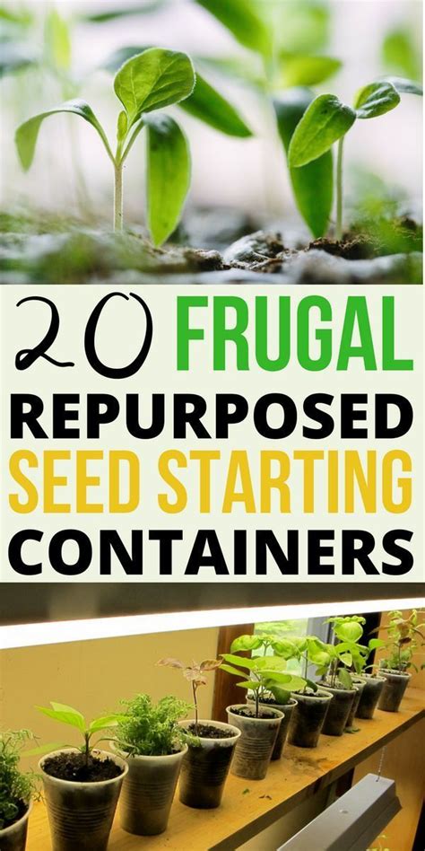 20 Frugal Repurposed Seed Starting Containers To Start Your Seeds In