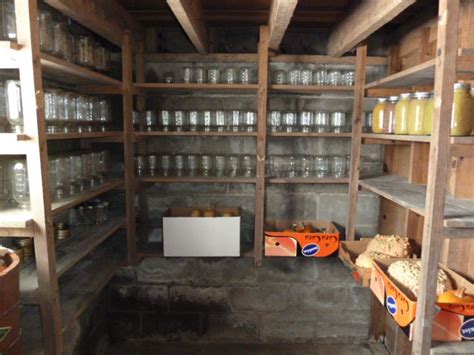 The Common Milkweed Basement Root Cellar