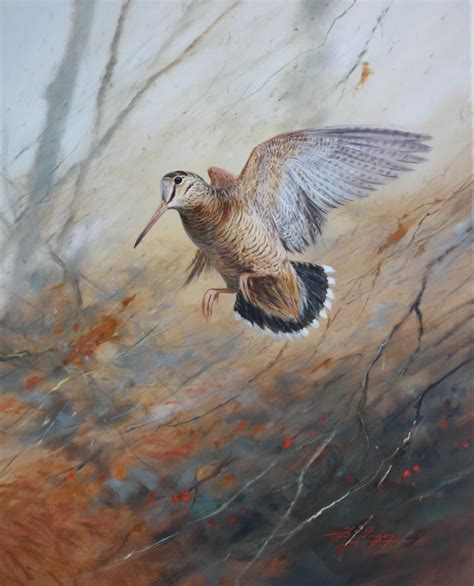 Dominique Pizon Art à Thème Oiseau Art Des Animaux Sauvages Art
