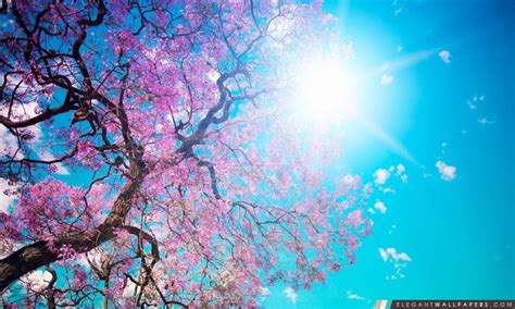1001 photographies avec les plus beaux fonds décran. Soleil de printemps. Fond d'écran HD à télécharger ...