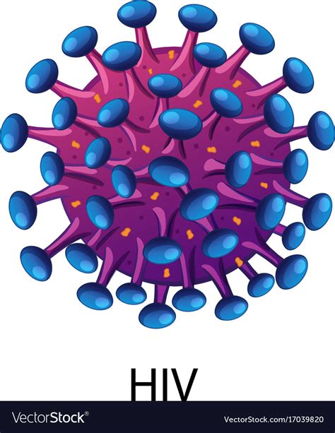 Close Up Diagram For Hiv Virus Royalty Free Vector Image