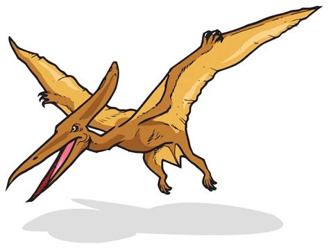 Premium Vector Pterodactyl Dinosaur