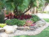 Miami Pool Landscaping Pictures