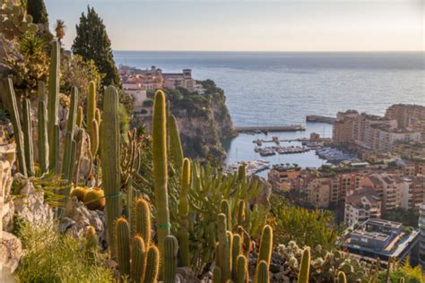 Discover The Best Monaco Views La Costa Properties Monaco