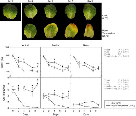 Aba Signalling Manipulation Suppresses Senescence Of A Leafy Vegetable