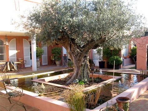 Amenagement exterieur 2014 edito fort d'une expérience de 25 ans, le groupe starlight sas vous propose des solutions en matière d'aménagement extérieur au meilleur rapport qualite. Aménagement paysager, gabions, bassins naturels et ...