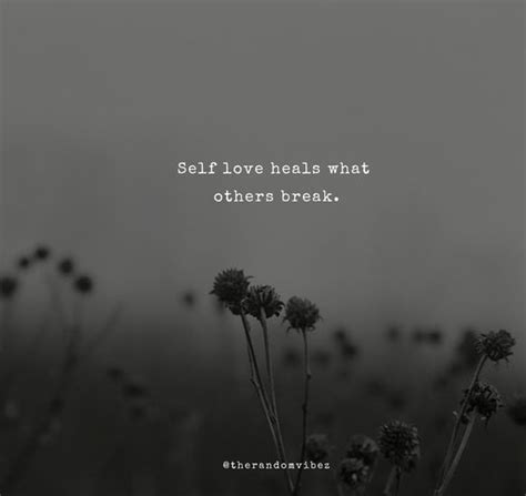 80 Aesthetic Love Quotes Captions And Images Nature Quotes Love