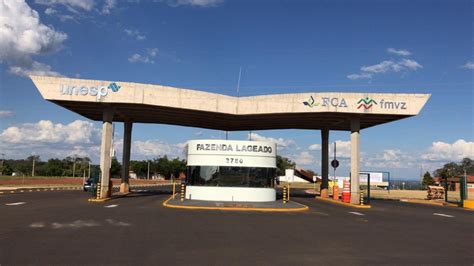 Rated 4.1068/5 dermatovet unesp botucatu. Unesp sobe em Ranking Internacional de Universidades ...