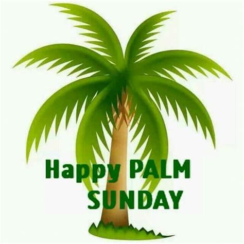 Happy Palm Sunday 2020 Images 5 Things That Palm Sunday Will Remind