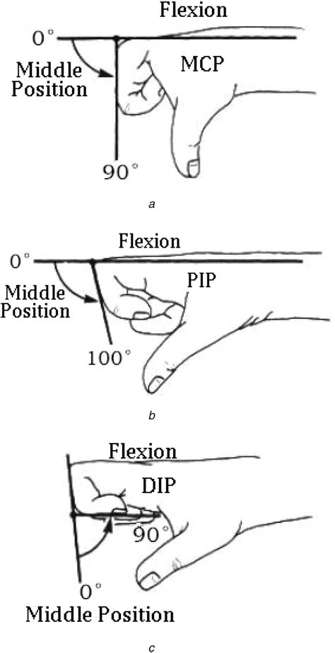 2 The Schematic Diagram Of Three Joints Flexion Motion 12 A Mcp