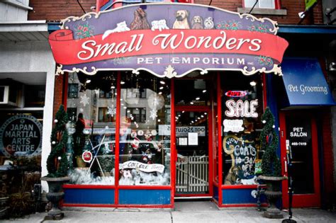 Want to get the best pet supplies and pet food products delivered? The top 30 pet supply stores in Toronto by neighbourhood