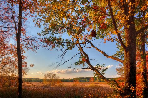 A Trees View Of Autumn On The Marsh Photograph By Sylvia J Zarco Fine