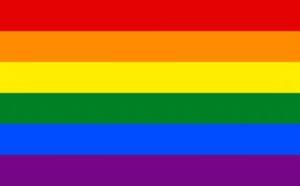 See more ideas about pride flags, lgbtqia, pride. An LGBTQIA+ Vocabulary | A NEW CLGS Resource for Faith ...