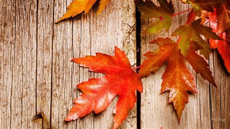 Free Download Rustic Fall Wallpapers Top Free Rustic Fall Backgrounds
