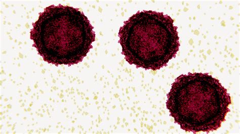 Study Genetically Modified Poliovirus To Treat Brain Cancer Shots