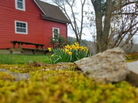Aprils First Signs Of Spring Photo Contest Winner Second Gear Wnc