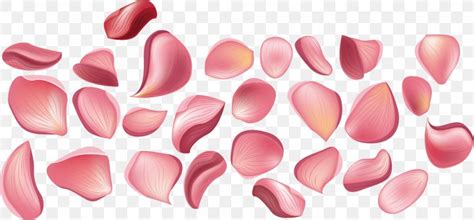 You can draw this flower freehand while looking at your computer monitor or print out this page to get a closer look at each step. Rose Petal Stock Photography Clip Art, PNG, 1318x614px ...