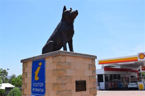 Muswellbrook Information Centre Updated 2020 All You Need To Know