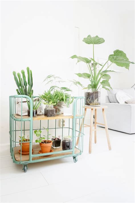 Indoor garden design ideas can come from many sources of inspiration. Cool Plant Stand Design Ideas for Indoor Houseplant 64 ...
