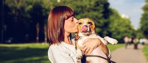 Epilepsie Beim Hund Umgang And Behandlung Edogs Magazin