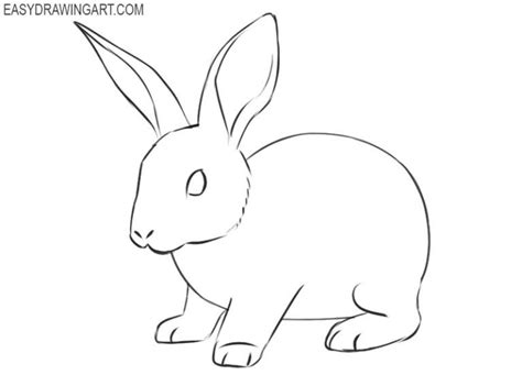 Behind Rabbit Drawing Easy Bunny Drawing Bunny Drawing