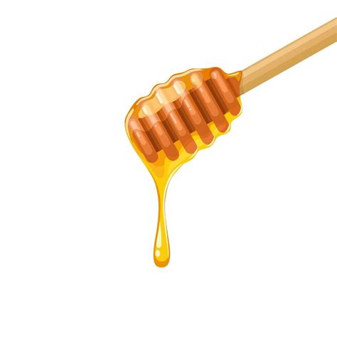 Vector Illustration Honey Stick With Dripping Honey Isolated On White