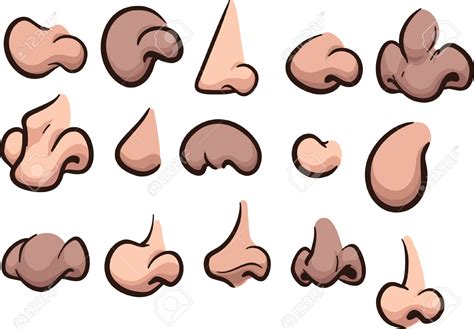 Set of cartoon sensory organs. Noses clipart - Clipground