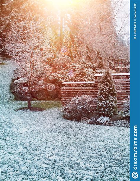 First Winter Snow Falling In Autumnal Garden Stock Image Image Of