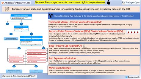 Review Of Dynamic Markers For Assessment Of Fluid Responsiveness Harms