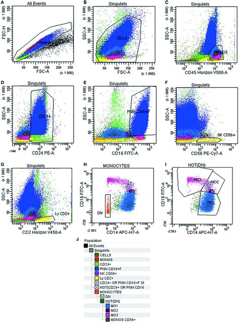 Frontiers Evaluation By Flow Cytometry Of Mature Monocyte