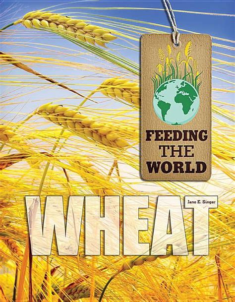 Feeding The World Wheat Hardcover