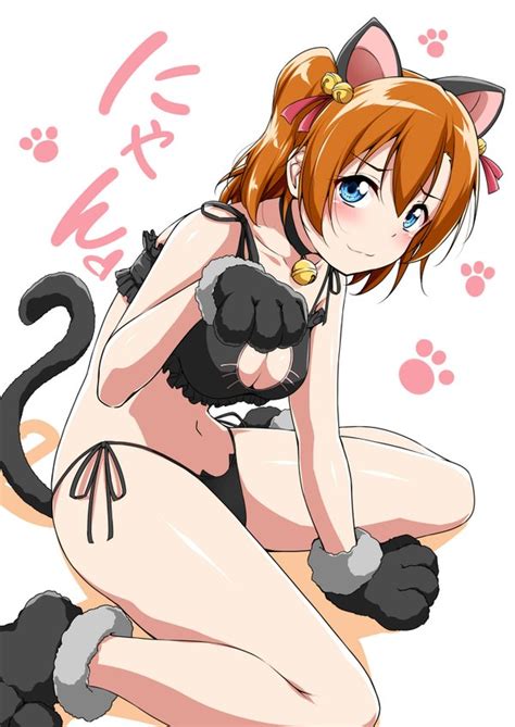 honoka cat keyhole cat keyhole lingerie know your meme
