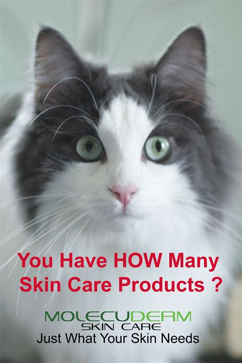 Simplify Your Skin Care Cat Skin Cat Skin Problems Daily Skin Care