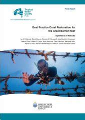 Coral Restoration Toolkit Reef Restoration And Adaptation Program
