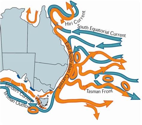 Sea Temperatures And Climate Change In Queensland Redmap