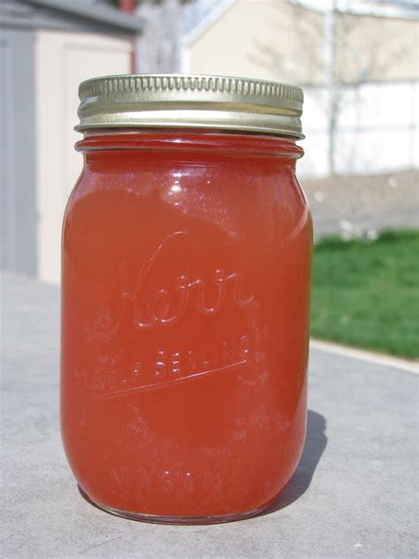 Sunshine Rhubarb Juice Concentrate - SBCanning.com - homemade canning ...