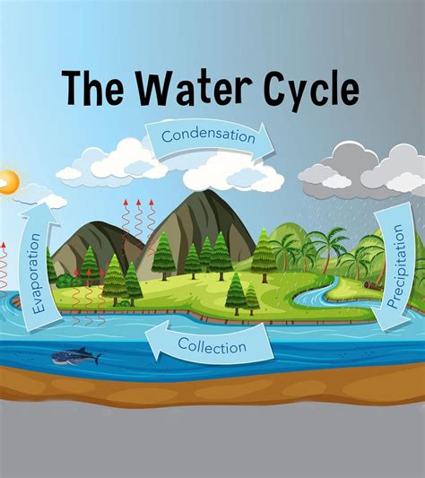 Water Energy Diagram For Kids