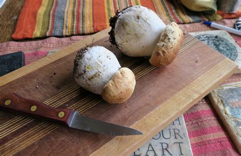 How To Cook With Mushrooms The Full Guide
