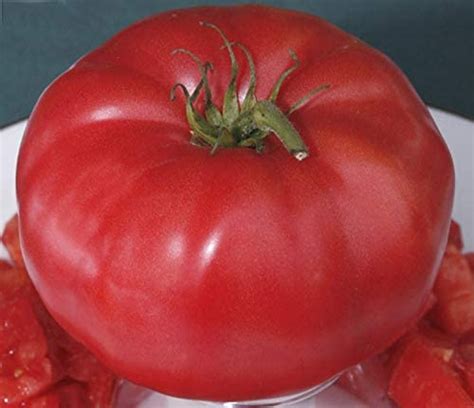 Tomato Gigantomo F1 12 Finest Seeds Worlds Largest Beefsteak
