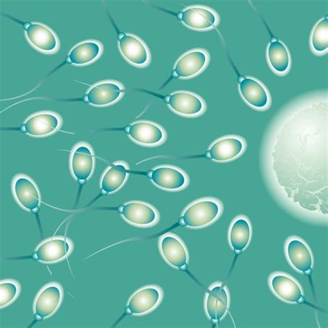 Sperm Abstraction Abstract Bokeh Life Sex Sexual Medical Dna