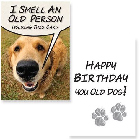 Happy Birthday You Old Dog No Love Like Dog Love 2014