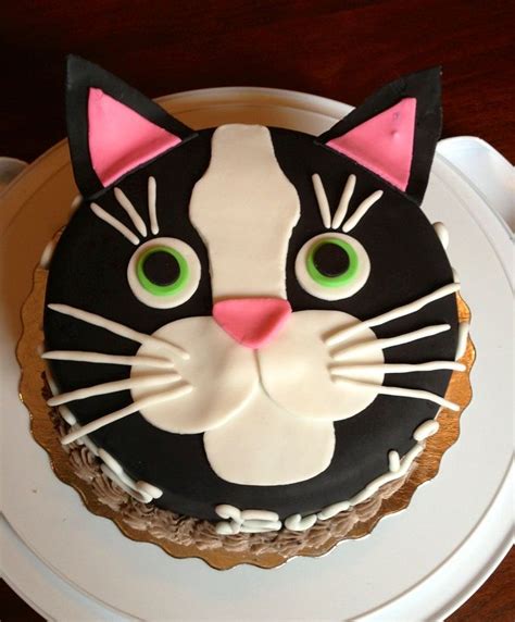 Pin By Mollie C On Cat Party Cool Birthday Cakes Cat Cake Birthday Cake For Cat