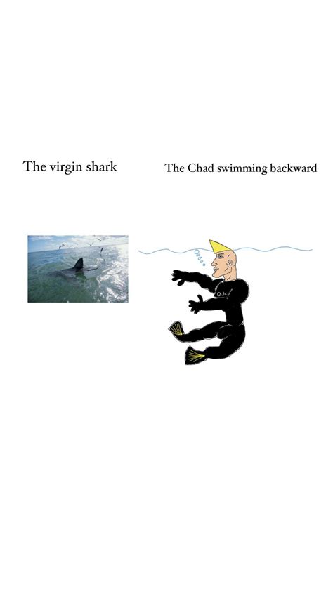 The Virgin Shark Vs The Chad Swimming Backward Rvirginvschad