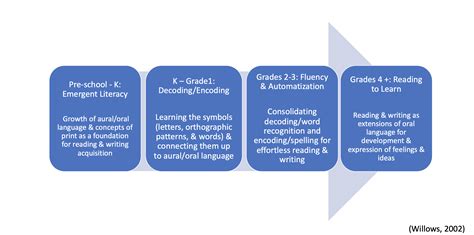 Using The Road To Reading Infographic To Guide Assessment Of And