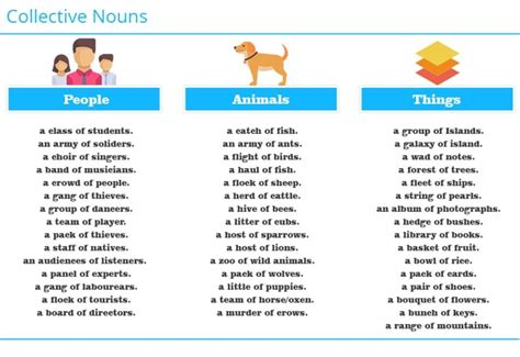 Collective Nouns Are Given Names To Group Items People Animals Or