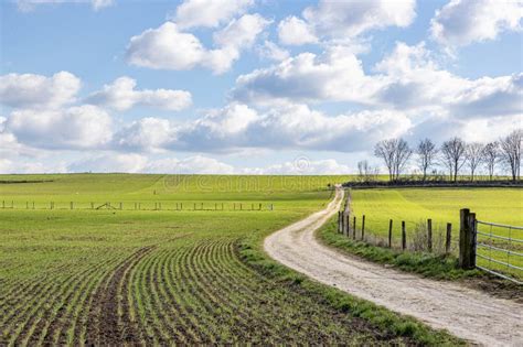 Dutch Agricultural Fields With A Dirt Road Against Blue Sky With White