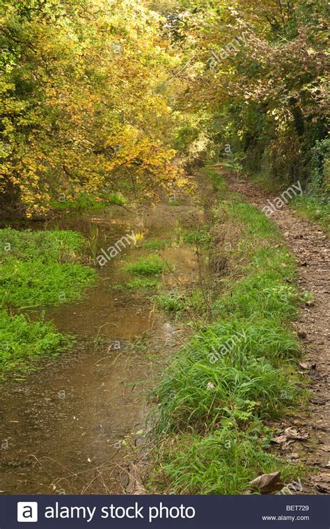 Autumn Along The Upper Reaches Of The Thames Path As It Meanders Stock