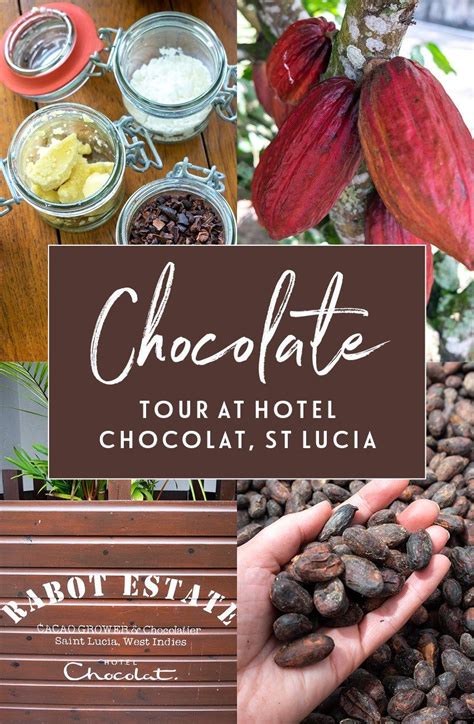A St Lucia Chocolate Tour With Hotel Chocolat Chocolate Tour Hotel Chocolat St Lucia